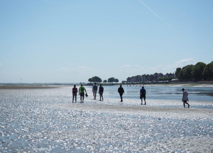 balade-en-baie-de-somme