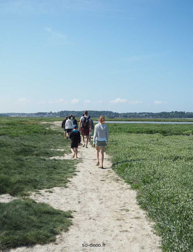  traversee-baie-de-somme