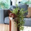 Vase RENARD – Image 3