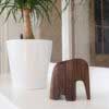 Olifant walnut wood natural – Image 6